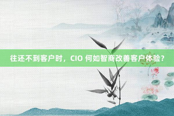 往还不到客户时，CIO 何如智商改善客户体验？